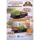 AKACAT Topraksız Doğal Kedi Çimi Suda Yetiştirme Saksısı Tüy Yumağı Önleyici Mama Kabı