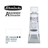 Akademie Guaj Boya 20ml 100 White Opaque