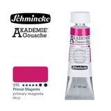 Akademie Guaj Boya 20ml 315 Primary Magenta