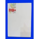 Akay Kompozit Tuval 35X50