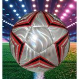 Akbiz Tarım Futbol Topu Parlak Özel Dikişli - Gümüş