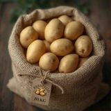 Akdeniz Bölgesi Yerli Baby Patates | Restoran & Kafe Kullanımına Uygun | Taze Ürün - 10 kg - 1 Adet