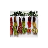 Akdeniz Fidancılık Finger Lime Limon Fidanı