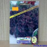 Akdeniz Salatası (Arapsaçı) Tohumu Paket Ücretsiz Kargo