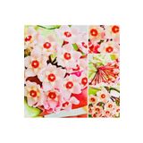 AKDENİZ TARIM Hoya Pink 1,5 Metre Cm Kokulu Mum Çiçeği Bitkisi Koleksiyon Serisi