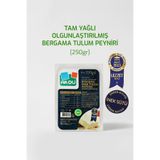 Akdu Tam Yağlı Bergama Tulum Peyniri 250 gr - %100 İnek Sütünden, Olgunlaştırılmış, Şirden Mayalı, International Taste Enstitute Ödüllü, Coğrafi İşaretli