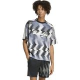 AKE0287 Adidas House Of Tiro x Common Goal Erkek T-Shirt Gri
