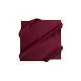 Aker Bordo Kadın Eşarp 7519713945