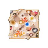 Aker Çok Renkli Kadın Eşarp 8806701315