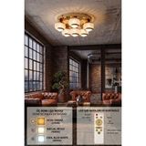 Akgül Stella 6 Toplu Lüks Simli Tavan Plafonyer Kumandalı Gold LED Avize