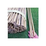 Akik Bambu Bitki Destek Çubuğu 180 Cm (5 Adet)