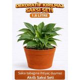 Akıllı 2'li Saksı Seti - Terracota Dekoratif Saksı + Şeffaf Üretim Saksısı | Drenajlı Kırılmaz