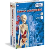 Akıllı Bayi 64297 Insan Anatomisi - Bilim ve Oyun +8 Yaş Aby - Çok Renkli