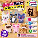 Akıllı Bayi Anahtarlık Sürpriz Paket 12 cm