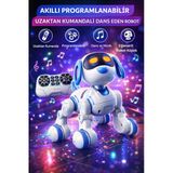 Akıllı Programlanabilir Uzaktan Kumandalı Dans Eden Robot Köpek Led Işıklı, Müzikli, İnteraktif Oyuncak