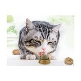 Akinco Kedi Nanesi (Catnip) Oyun Topu