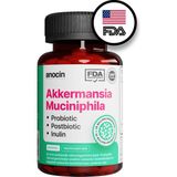 Akkermansia Muciniphila Probiyotik + Prebiyotik + Postbiyotik + Inulin . X6 Kat Daha Çok Akkermansia