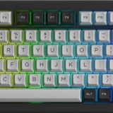 Akko 5075Bp Dracula Castle Tkl Rgb Kablosuz Hotswap Mekanik Gaming Klavye