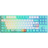 Akko 5087S Qmk Monet’s Pond Tkl Rgb Hotswap Mekanik Gaming Klavye - Standart