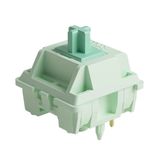 Akko Botany 5pin (45 Adet) Linear Switch