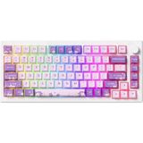 Akko Mod 007 He Pc Purple Melody Hall Effect Manyetik Switch Rgb Hotswap Mekanik Gaming Klavye - Standart