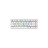 Akko RAY68 He White Astroaim Manyetik Switch Kablosuz Gaming Klavye