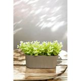 Akkoyunlu Home Akkoyunlu Hom Yapay Okaliptus Çiçeği Çizgili Yatay Saksı Yeşil,Beyaz