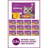 aklow akyoleticaret Jelly'de 1+ Yetişkin Tavuk Kümes Hayvanı Seçimi; 40 Torba, Yetişkin Islak Kedi Yemi, Megapack (40 x 85 G) - 51 - 75 ml
