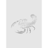 Akrep - Scorpion - Araba - Oto - Motosiklet - Karavan - Cam Sticker 00588 - 25x19 Cm - Krom