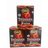 Aks Lokman Tribuluslu Atom Kuvvetli Bitkisel Karışımlı Macun 3 x 230GR - 1 Adet