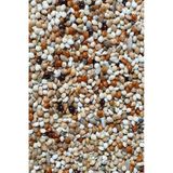 Aksenbirstore Karışık Kaliteli Lüks Özel Muhabbet Kuşu Yemi 5 KG