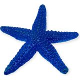 Aksiyon Global Hayvan Figürleri - Deniz Hayvanları 10 cm - Deniz Yıldızı (Lisinya)