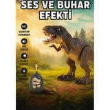 Aksoy Toys Uzaktan Kumandalı Dinozor Oyuncak – Işıklı, Sesli ve Buharlı Ağzından Duman Atan Dinazor - 01 - Siyah - Gri