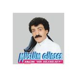 Aksu Duygusal Türkçe Şarkı Plak, Müslüm Gürses'in Sevilen Eserleri