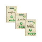 Aksu Vital Propolis Arı Sütü Arı Poleni Ham Bal Karışımı 3 Adet