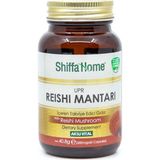 Aksu Vital Shiffa Home Upr (Reishi Mantarı) x 3