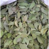 Aktar Depo Defne Yaprağı 1. 250 gr - 1 Adet