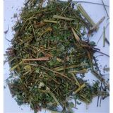 Aktar Depo Kırlangıç Otu (Göz Otu) 100 gr - 1 Adet