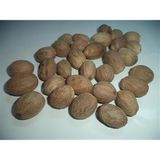 Aktar Depo Muskat-Hint Cevizi 100 gr - 1 Adet