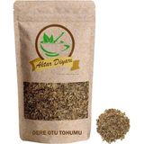Aktar Diyarı Dereotu Tohumu 1000 gr - 1 Adet
