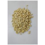 AKTARCINIZ Çam Fıstığı Dolmalık Fıstık Yerli 100 gr