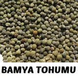 Aktarix 100 gr Bamya Tohumu