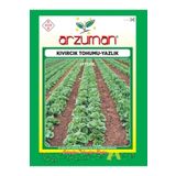 aktarix Arzuman Marul Tohumu Kıvırcık Yazlık 10 Gr