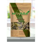 aktarloji 1 Kg Açlık Otu Çayı / Elenmiş, Temiz - Katkısız & Doğal