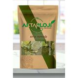 Aktarloji 1 kg Ayva Yaprağı / Ayva Yaprağı Çayı - Yeni Mahsül - Katkısız & Doğal