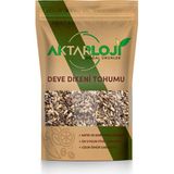 Aktarloji 1 kg Deve Dikeni Tohumu