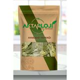 aktarloji 100 Gr Avakado Yaprağı / Avakado Çayı - Katkısız & Doğal
