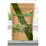 aktarloji 100 Gr Ayva Yaprağı / Ayva Yaprağı Çayı - Yeni Mahsül - Katkısız & Doğal