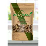 aktarloji 100 Gr Kırlangıç Otu / Göz Otu - Katkısız & Doğal