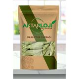 aktarloji 100 Gr Okaliptus Yaprağı / Okaliptus Çayı - Katkısız & Doğal